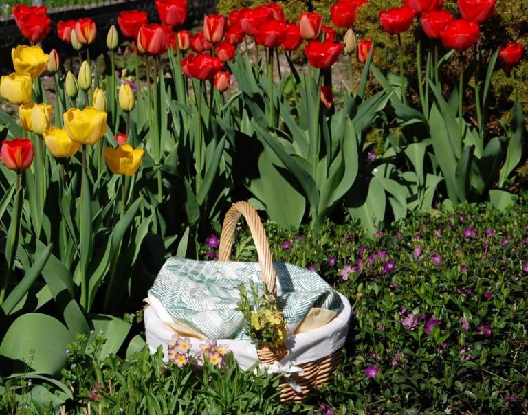 What’s in Your Easter Basket