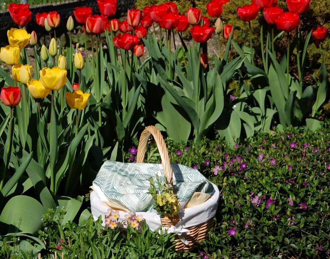 What’s in Your Easter Basket