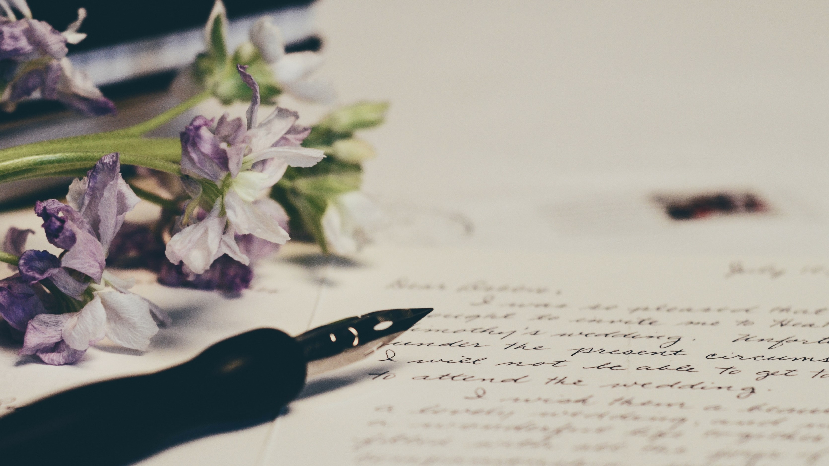 The Adventure (almost) Begins