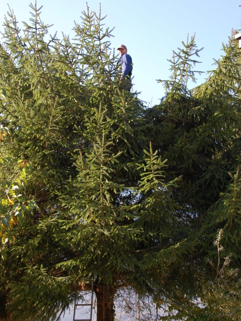 Thomas admiring the view after a hard morning's work.