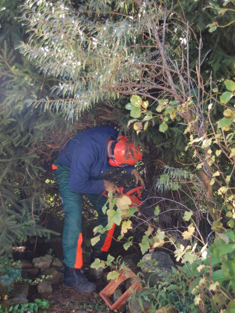 Taking down the lowest branches