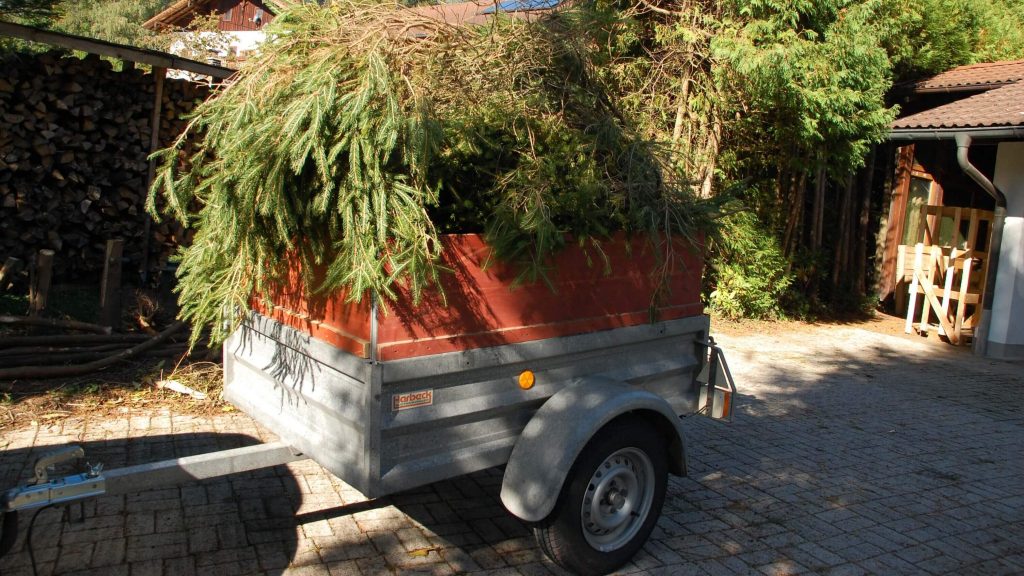 Yet another trailer full of greenery
