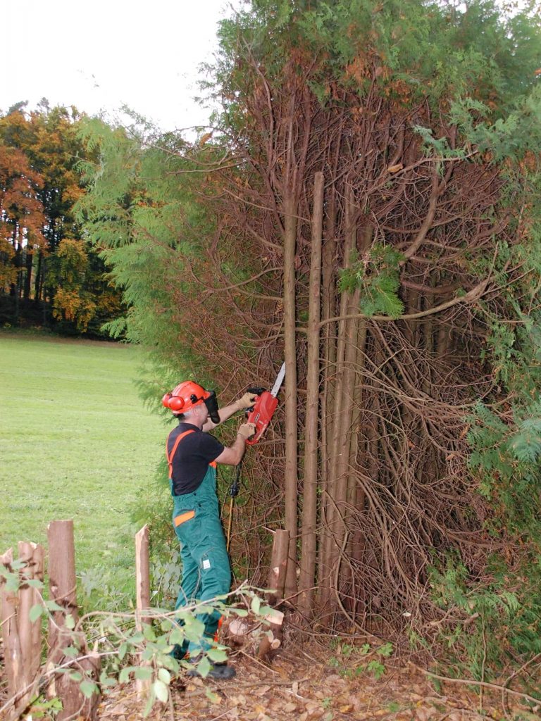 Taking down the hedge