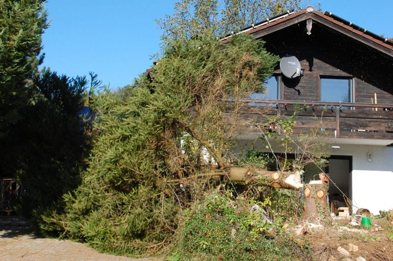 Look, it's a hidden house