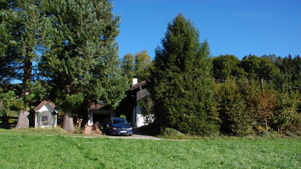 The front of our house - no curb appeal